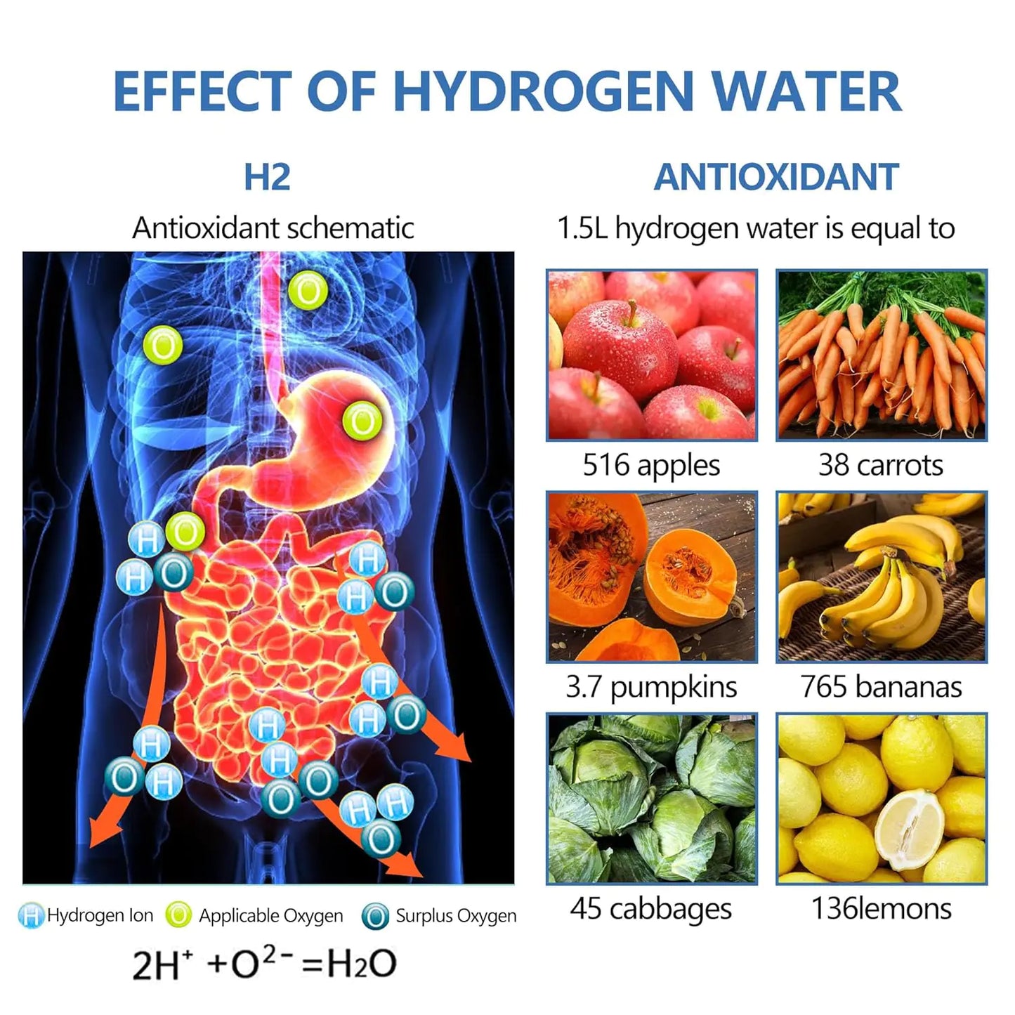 Portable Hydrogen Water Generator